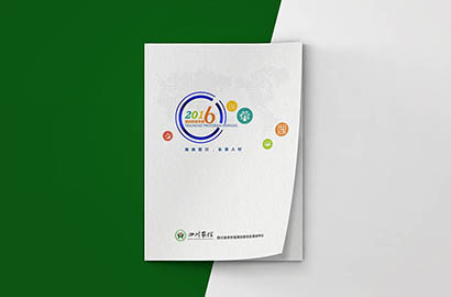 新洲区画册设计：以场景为媒，打造城市体验的全新入口